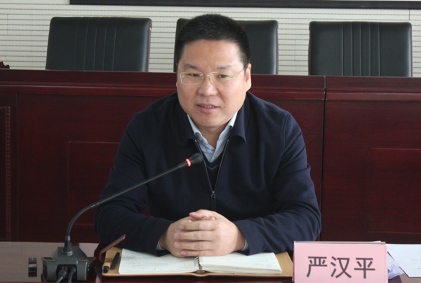 市委常委、组织部长严汉平出席并讲话.jpg 市委常委、组织部长严汉平出席并讲话.jpg