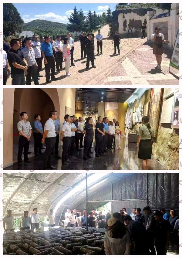 光影魔术手拼图.jpg